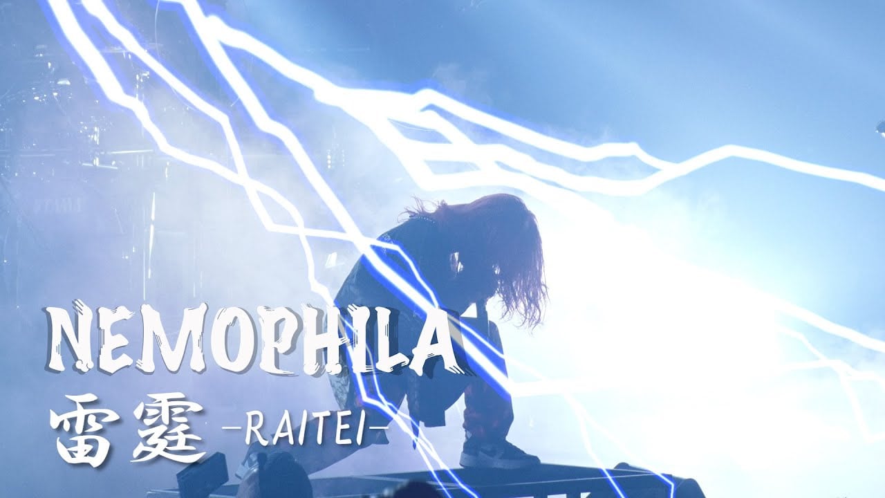 NEMOPHILA - 雷霆 -RAITEI- [Official Live Video] | alpha amp