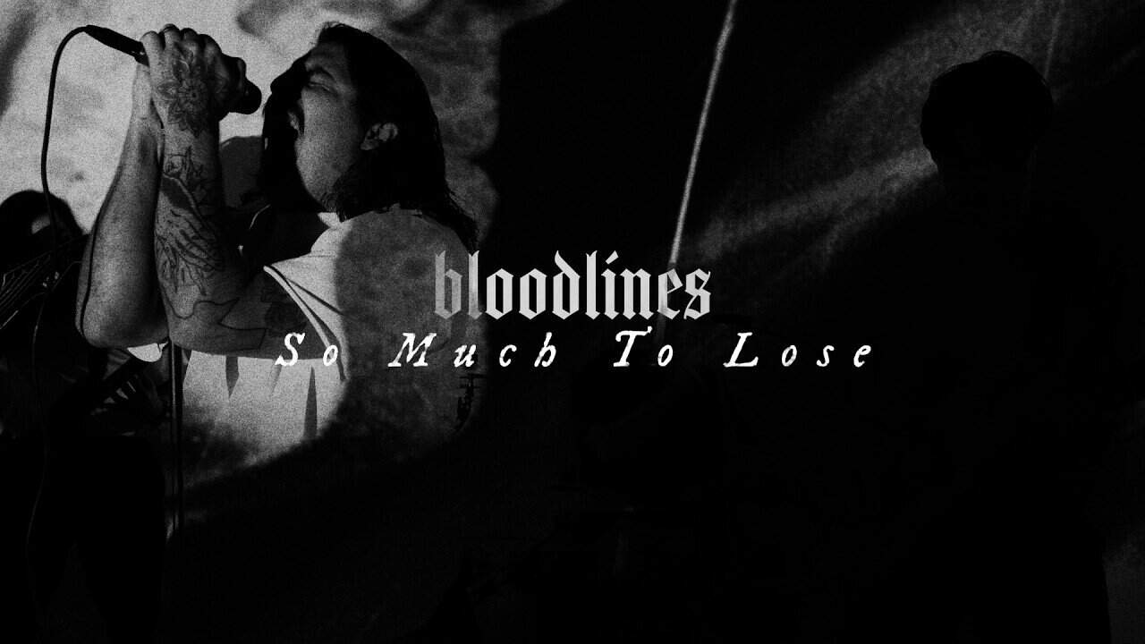 BLOODLINES - So Much To Lose | alpha amp