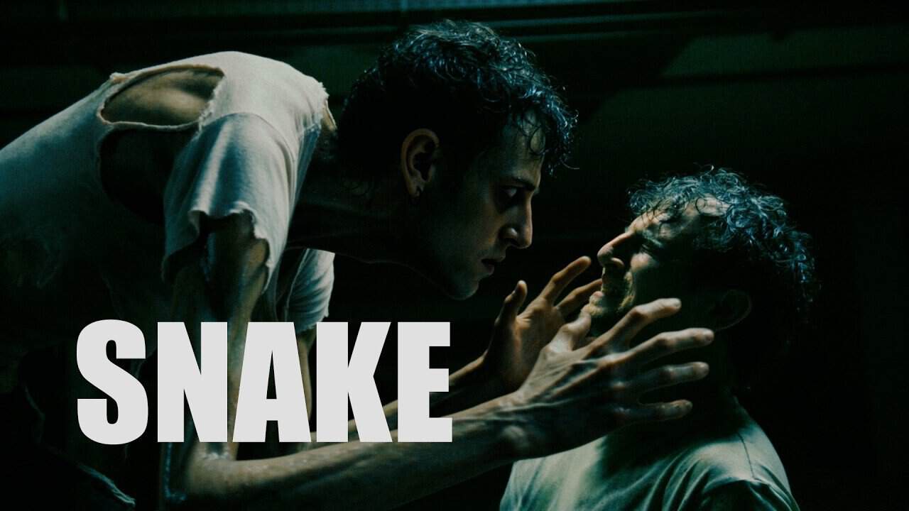 Blame - Snake | alpha amp