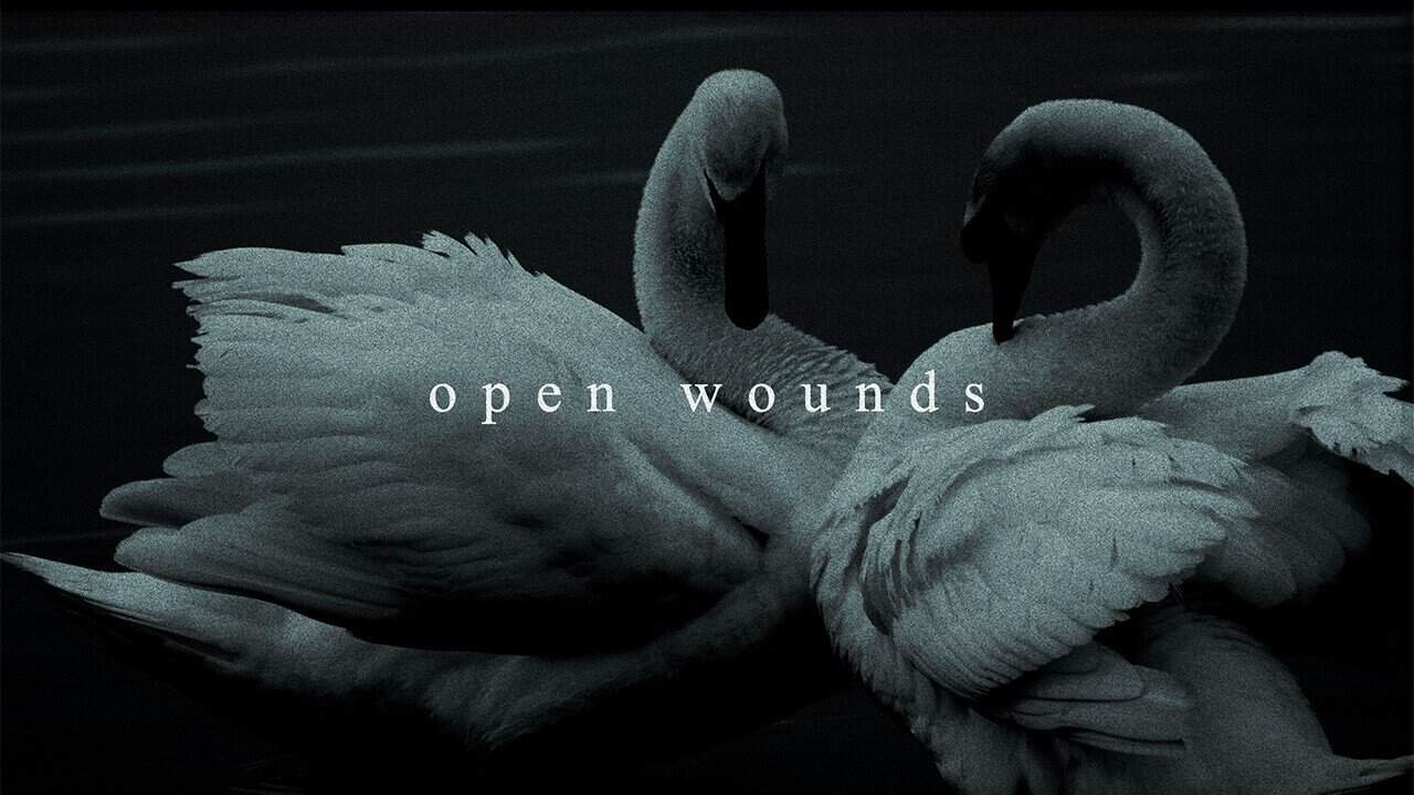 Hollow Front - Open Wounds | alpha amp