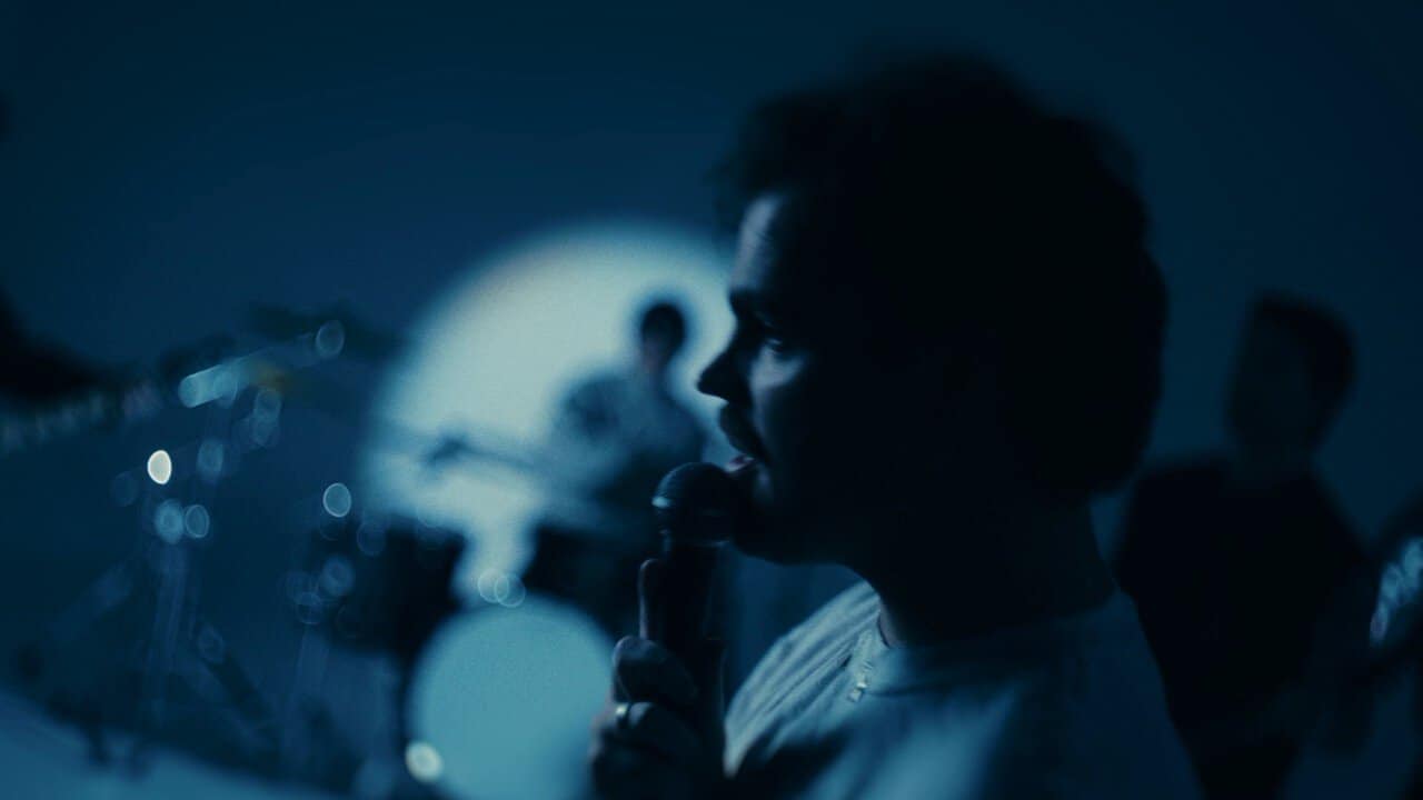 Safehaven - Nightcrawler | alpha amp